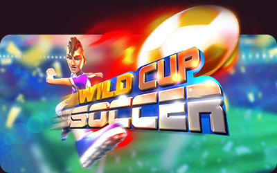 WILD Cup Soccer