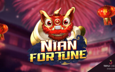 Nian Fortune Celebrate Chinese New Year