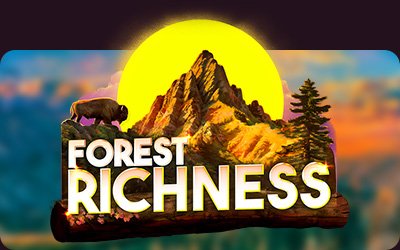 Forest Richness