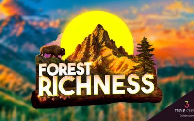 Forest Richness: Enjoy wild nature