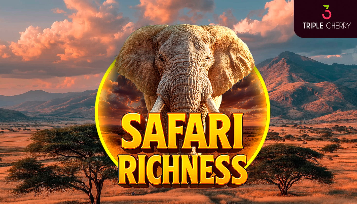 Safari_Richness_1470x840