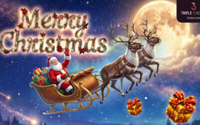 Merry Christmas and a Happy New Year!